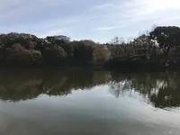 県立 三ツ池公園の写真・動画_image_242120