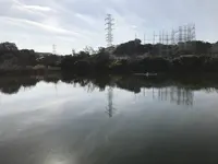 県立 三ツ池公園の写真・動画_image_242121