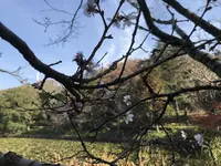 県立 三ツ池公園の写真・動画_image_242126