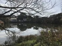 県立 三ツ池公園の写真・動画_image_242134
