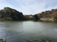 県立 三ツ池公園の写真・動画_image_242136