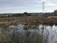県立 三ツ池公園の写真・動画_image_242141