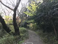 県立 三ツ池公園の写真・動画_image_242148