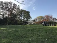 みその公園「横溝屋敷」の写真・動画_image_242195