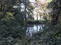 みその公園「横溝屋敷」の写真・動画_image_242197