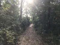 みその公園「横溝屋敷」の写真・動画_image_242199