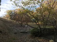 みその公園「横溝屋敷」の写真・動画_image_242202