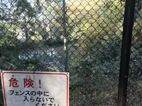 みその公園「横溝屋敷」の写真・動画_image_242203
