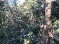 みその公園「横溝屋敷」の写真・動画_image_242204