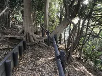 みその公園「横溝屋敷」の写真・動画_image_242206