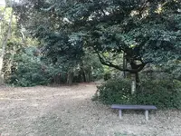 みその公園「横溝屋敷」の写真・動画_image_242211