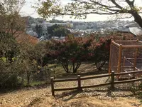 みその公園「横溝屋敷」の写真・動画_image_242212