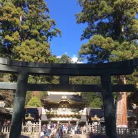 日光東照宮の写真・動画_image_242438
