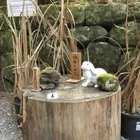 二荒山神社の写真・動画_image_242442