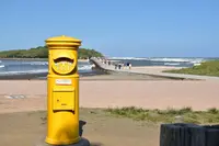 青島神社の写真・動画_image_242503