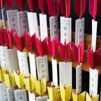 青島神社の写真・動画_image_242506