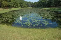 江田神社の写真・動画_image_242523
