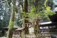 高千穂神社の写真・動画_image_242584