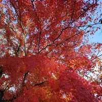 山形城 本丸一文字門の写真・動画_image_242644