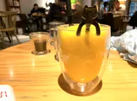 515 Cafe&booksの写真・動画_image_242960