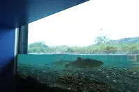 イヨボヤ会館の写真・動画_image_242967