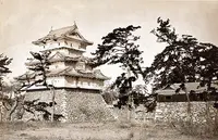 玉藻公園の写真・動画_image_243044