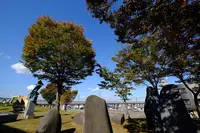 越後妻有里山現代美術館キナーレの写真・動画_image_243069