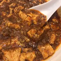 中国料理 川菜味の写真・動画_image_243107