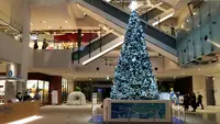 MARK IS みなとみらいの写真・動画_image_243311