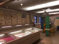 世界のコイン館の写真・動画_image_243508