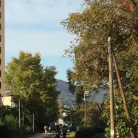 手宮線跡地の写真・動画_image_243566