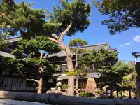 にしん御殿小樽貴賓館（旧青山別邸）の写真・動画_image_243573