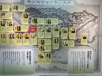 東海道松並木の写真・動画_image_243606