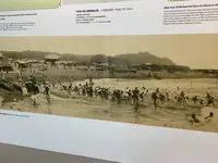 照ヶ崎海岸の写真・動画_image_243608