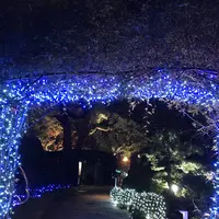 グラバー園の写真・動画_image_243654