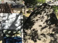 出島の写真・動画_image_243705