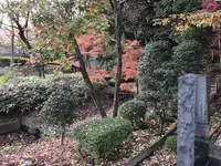 大塚・歳勝土遺跡の写真・動画_image_243816