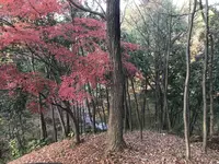 大塚・歳勝土遺跡の写真・動画_image_243818