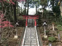 大塚・歳勝土遺跡の写真・動画_image_243819