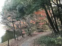 大塚・歳勝土遺跡の写真・動画_image_243820