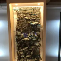 出島の写真・動画_image_243997