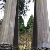 かずら橋の写真・動画_image_244027