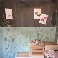 Satén japanese teaの写真・動画_image_244067