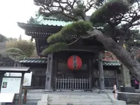 長谷寺の写真・動画_image_244127