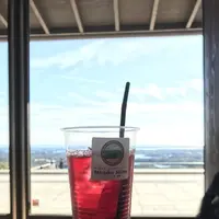 横山展望台の写真・動画_image_244162