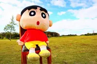 お得なチケットの写真・動画_image_244274