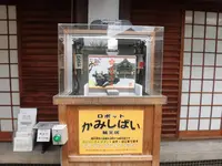 錦天満宮の写真・動画_image_244571