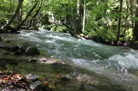 奥入瀬の写真・動画_image_244585