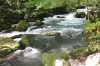 奥入瀬の写真・動画_image_244586