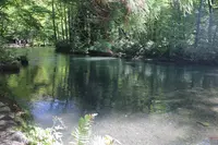 奥入瀬の写真・動画_image_244587